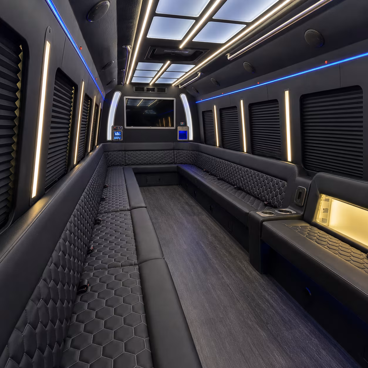 birthday party bus rental